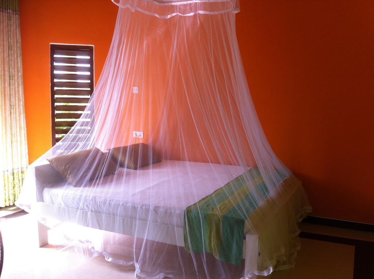 Bee Nest Bed & Breakfast Negombo Exterior foto
